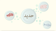 تغذية الام الحامل مصادر الحديد والكالسيوم